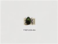 藏品(綠豔條金龜)的圖片